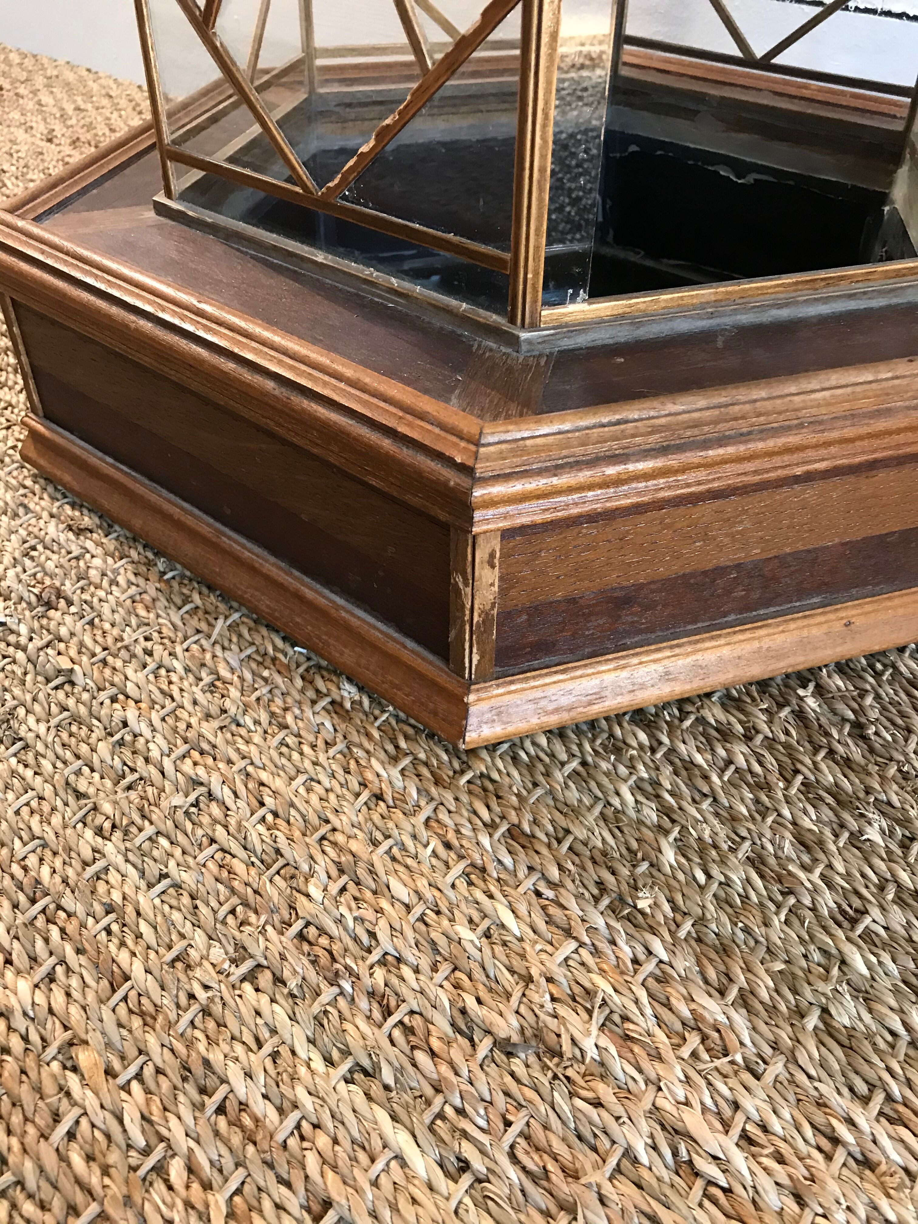 Cabinet of curiosity nineteenth century