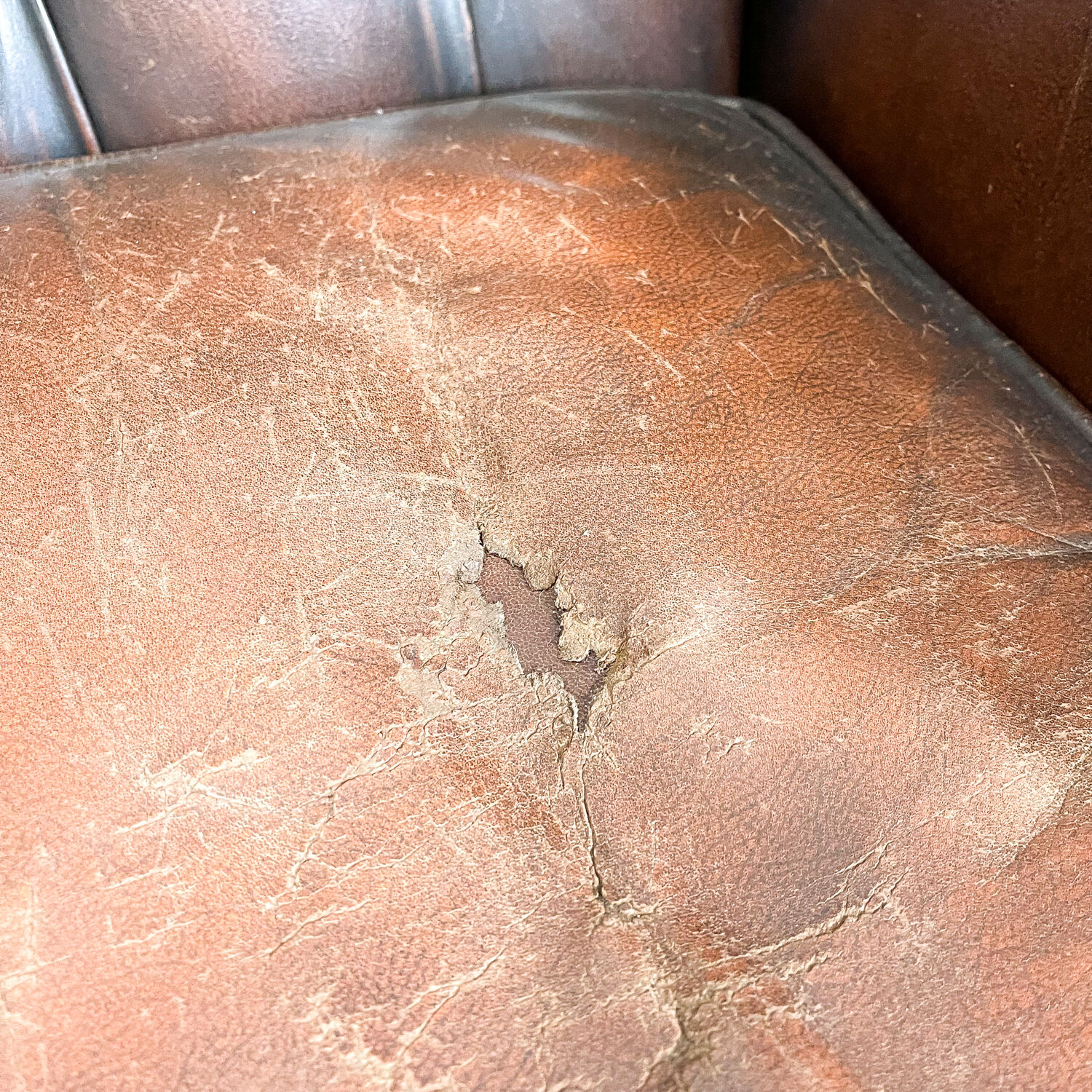 Vintage rustic dark brown leather chesterfield wingback armchair wassenaar