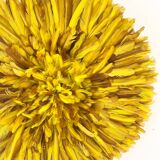 Juju Hat yellow 50 cm