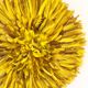 Juju Hat yellow 50 cm