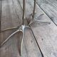 Sculptural table Traccia Merret Oppenheim silver edition Cassina