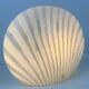 Peill & Putzler zebra shell table lamp