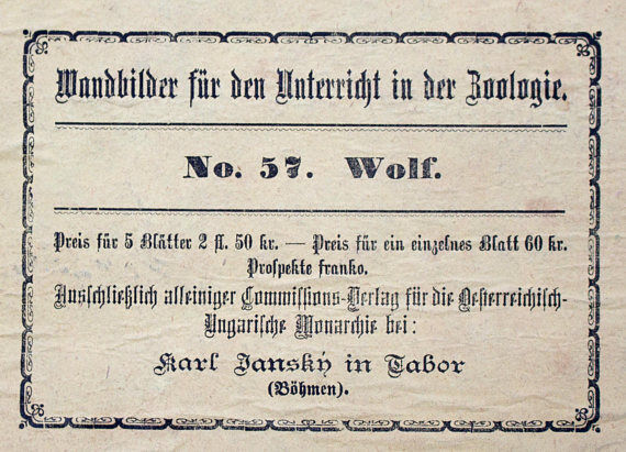 Educational poster, wolf, lithograph, Karl Jansky, Böhmen, 1897