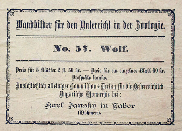 Affiche  éducative, wolf, lithographie, Karl Jansky, Böhmen, 1897