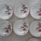 12 assiettes anciennes plate et creuse HBCM Creil Montereau Luxeuil œillets
