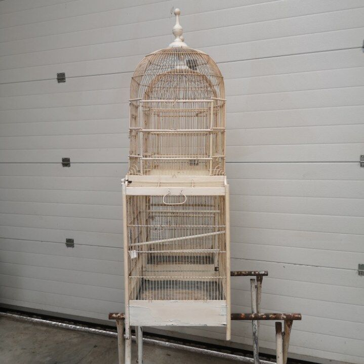Double cage with birds in wooden metal white rectangular bell tower 1910