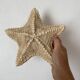 knotted starfish 21 cm