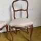 Duo de chaises à décor fleuri