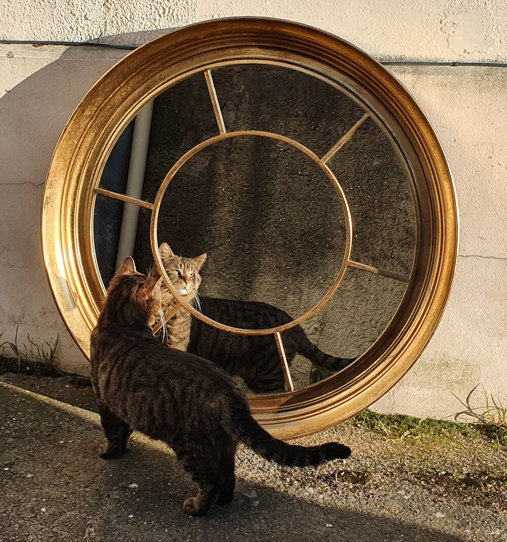 Miroir oeil de boeuf, Temerity Jones, Londres