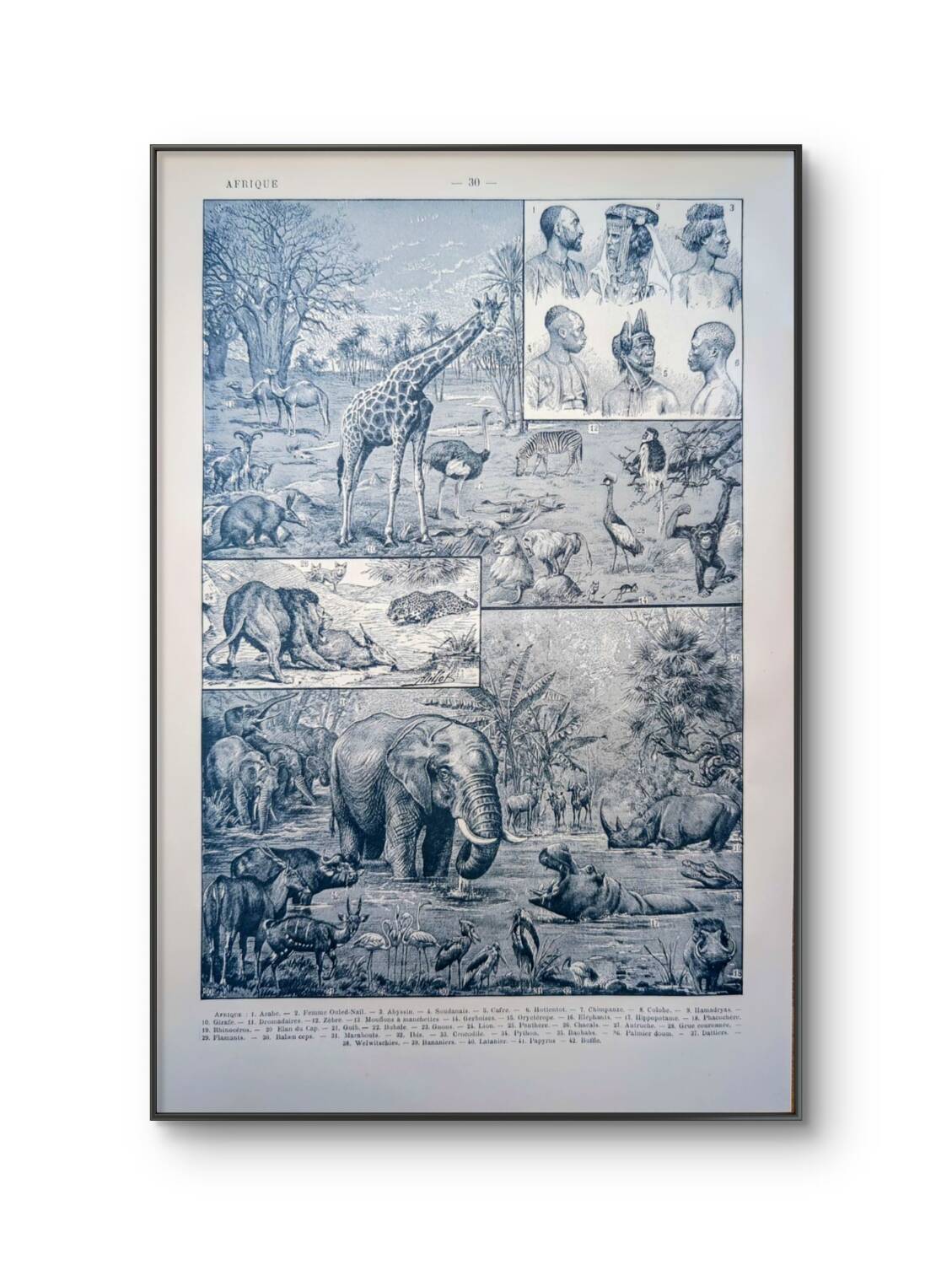 Printed in 1921, engravings of Africa.