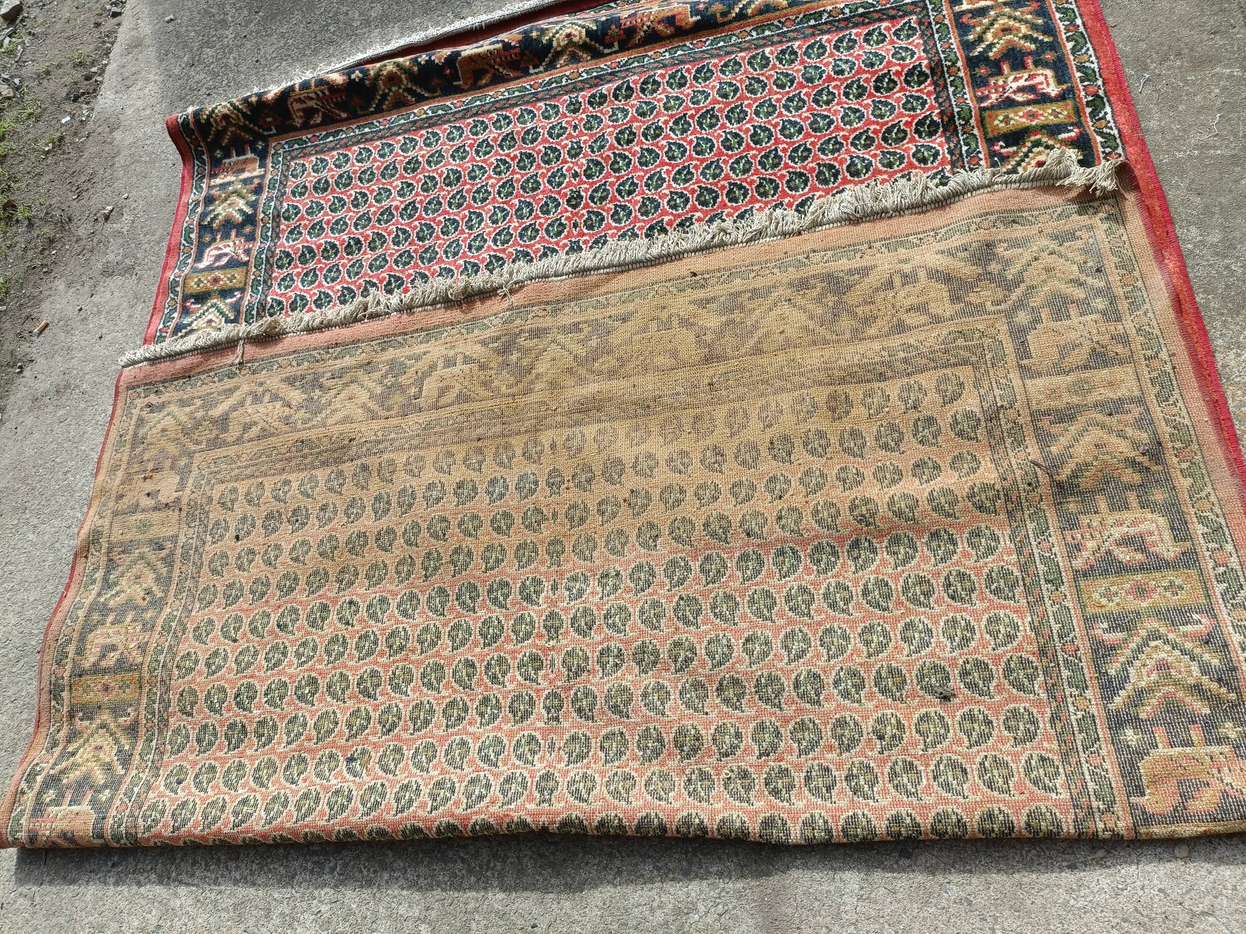 Vintage carpet in bright red background wool, 258x178 cm