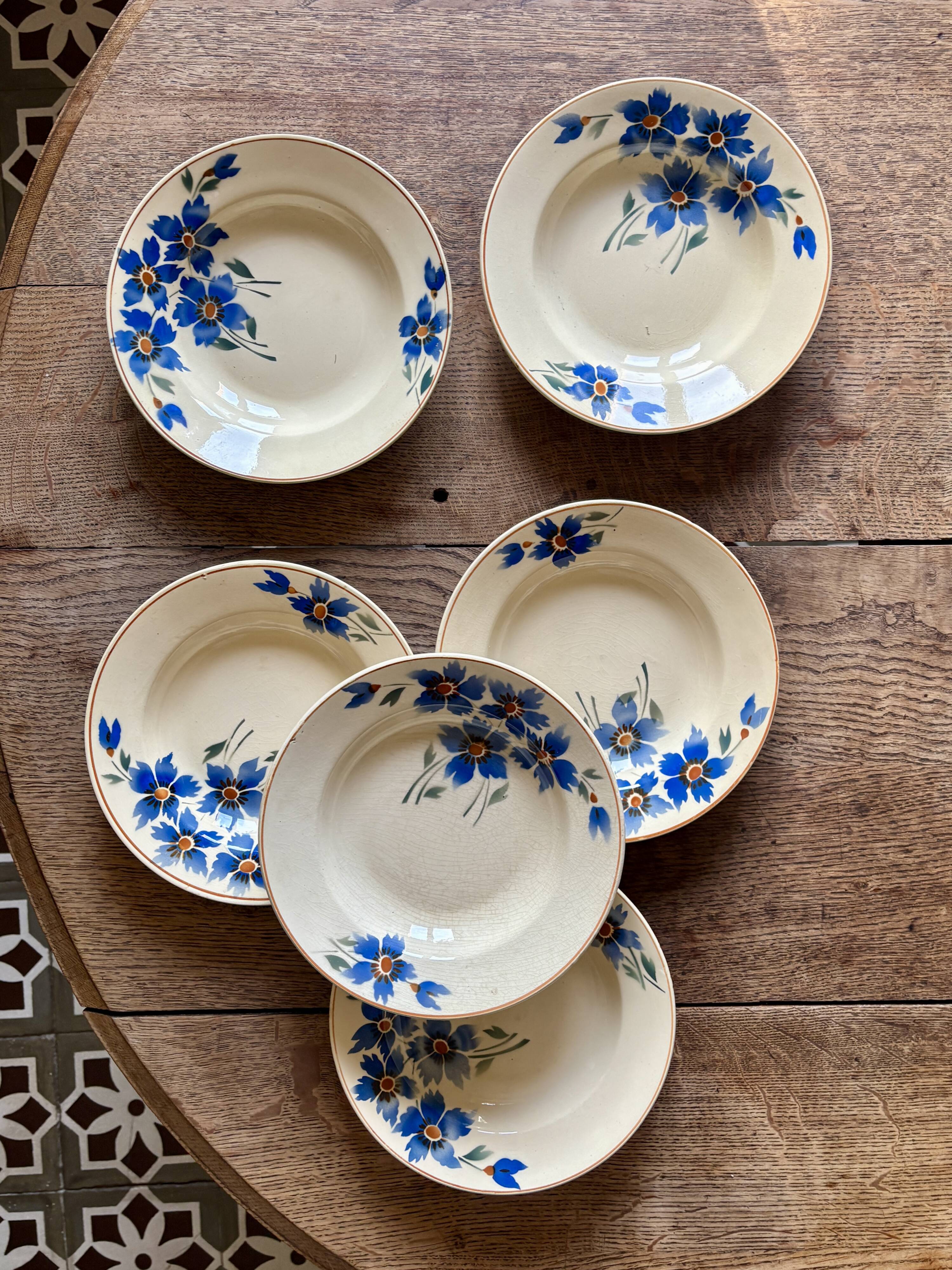 Set of 6 old-fashioned soup plates with blueberry decorations