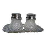 Salt shaker and pineapple shaped pepper