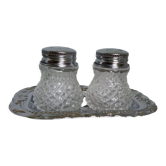 Salt shaker and pineapple shaped pepper