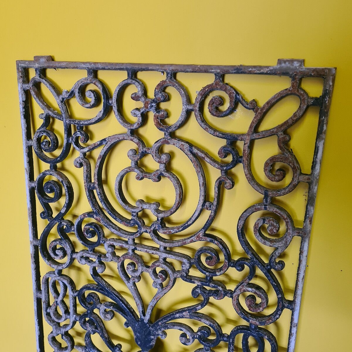 Old french cast iron door fence, 1950s