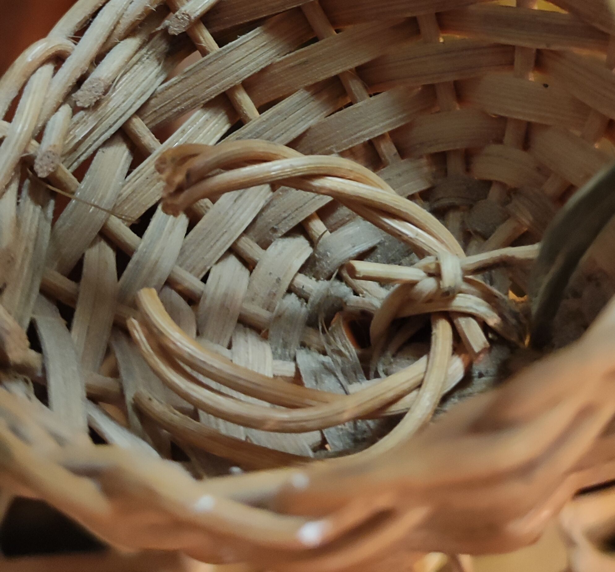 Pair of rattan suspensions 1960s-1970s