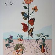Salvador Dali : Flordali II, La rose papillon - Lithographie originale signée