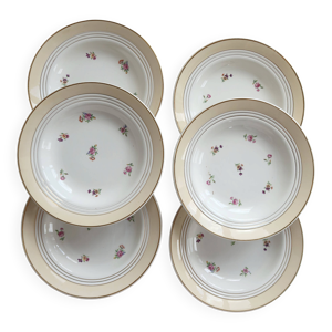 6 assiettes creuses vintage - motif