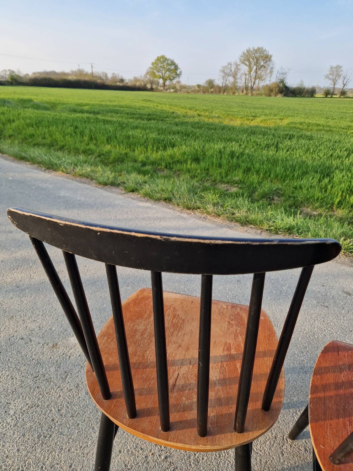 Set of 6 Fannett Scandinavian chairs by Ilmari Tapiovaara 1960.