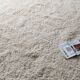 Handwoven Moroccan rug wool - 305 x 205 cm