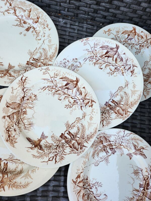 6 assiettes dessert Colibri
