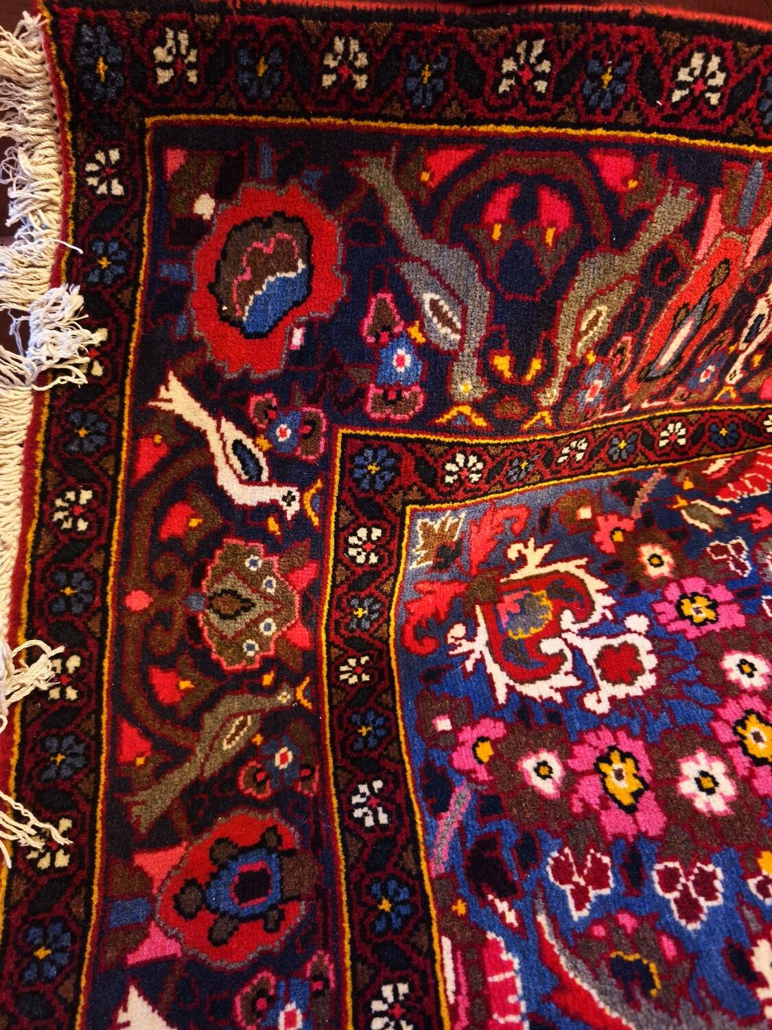 Hand-knotted Bakhtiari Persian carpet from Iran.