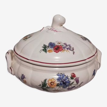 Souptureen Sarreguemines