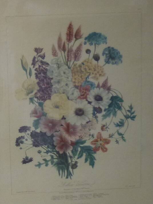 Framed Vilmorin lithograph, bouquet No 7, 1857, E. Champin
