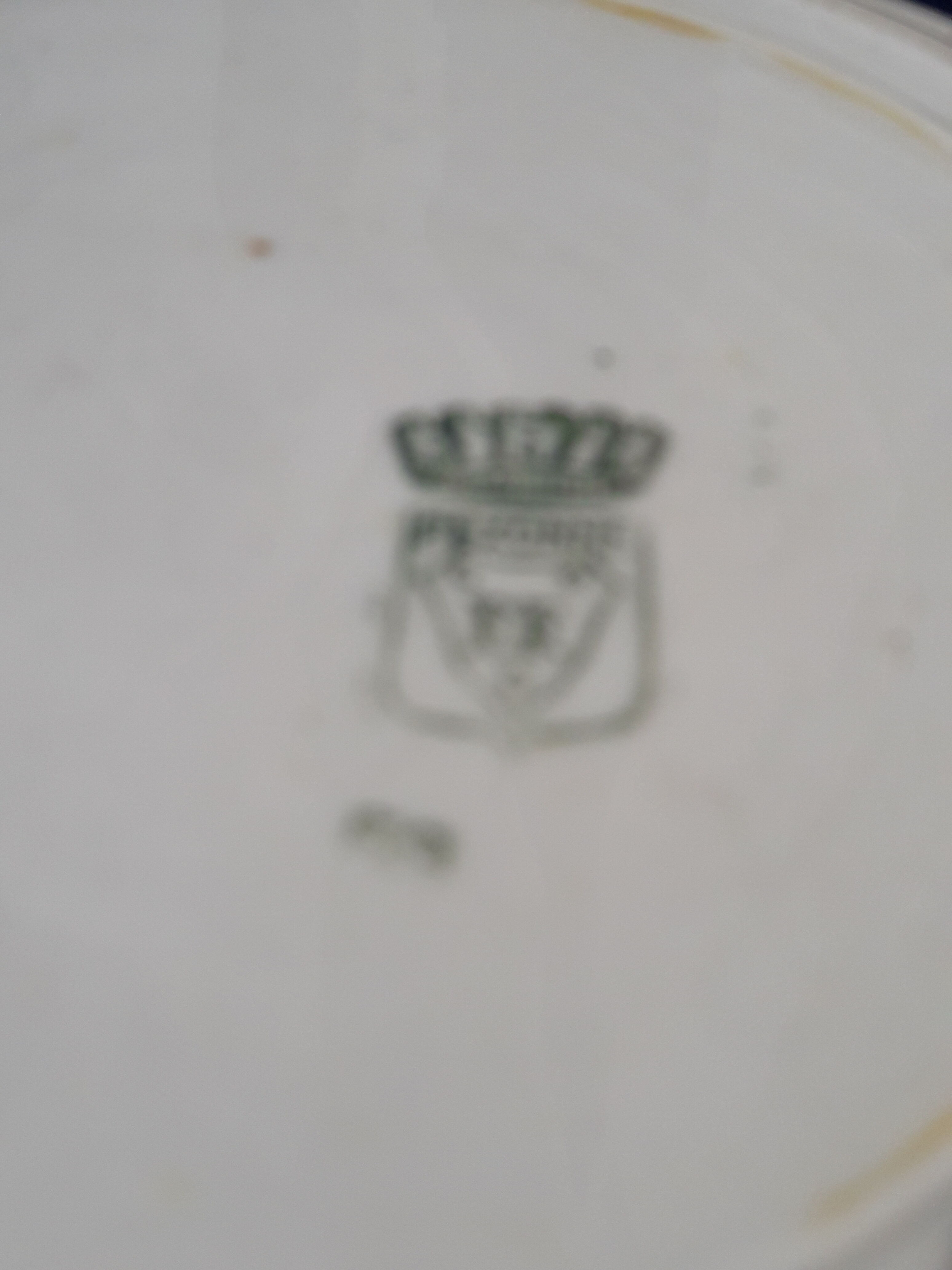 2 hollow plates in Pexonne earthenware 53 blue flower pattern diam 22.5 cm