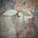 Aerial suspension, 3 petals in metal and white linen