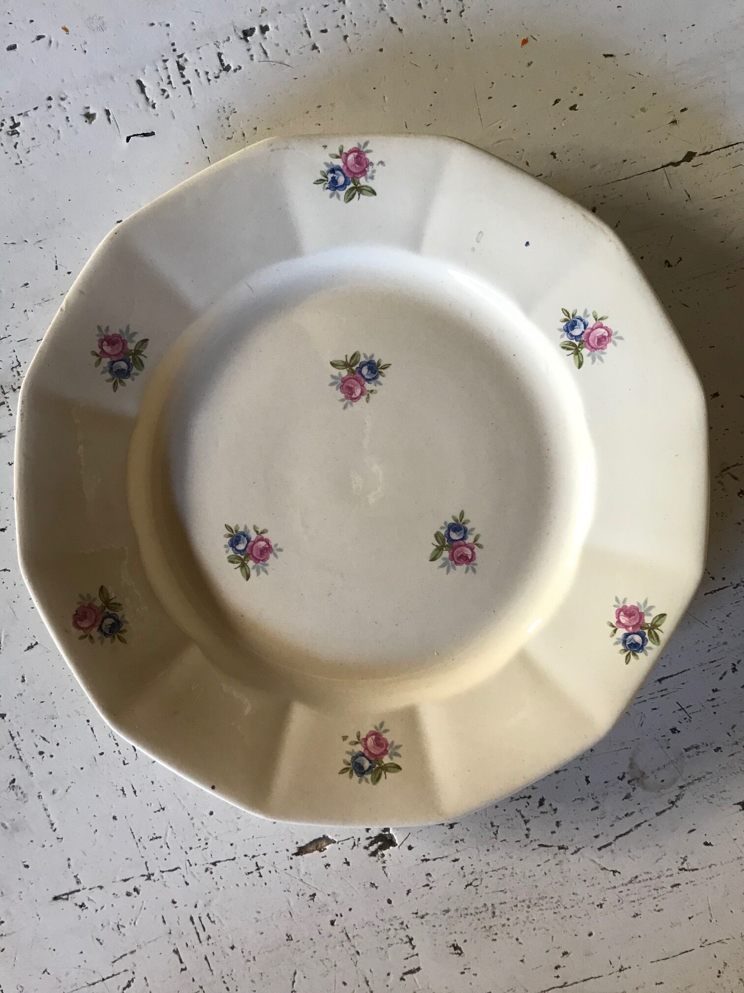 6 digoin flat plates