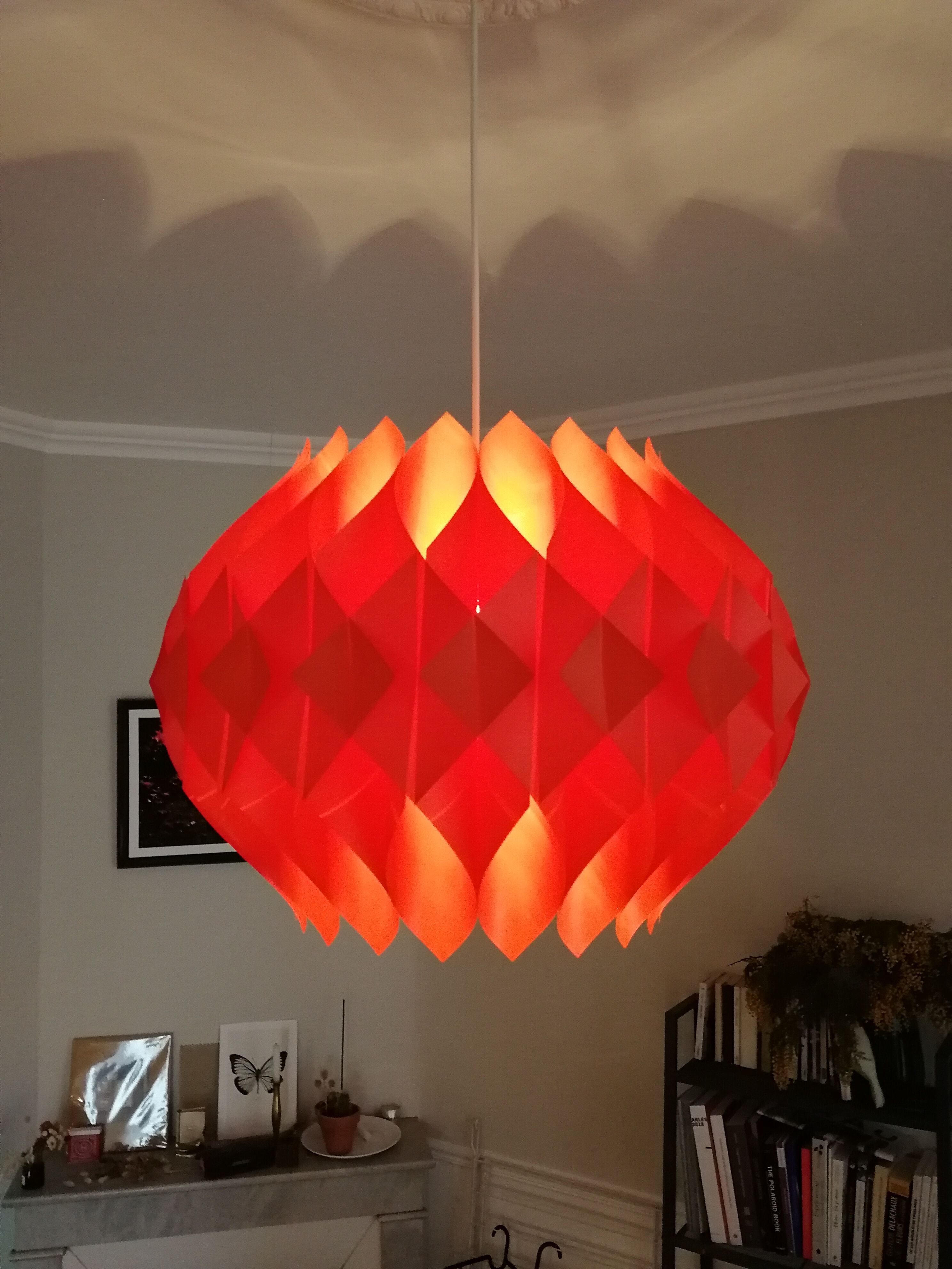 Shioler lars butterfly hanging