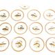 Porcelain plates and fish decoration sauce boat from Limoges, 1980s, set of 13.