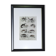 Original zoological plate "Siberian grey heron, palm tree,... - Buffon 1838