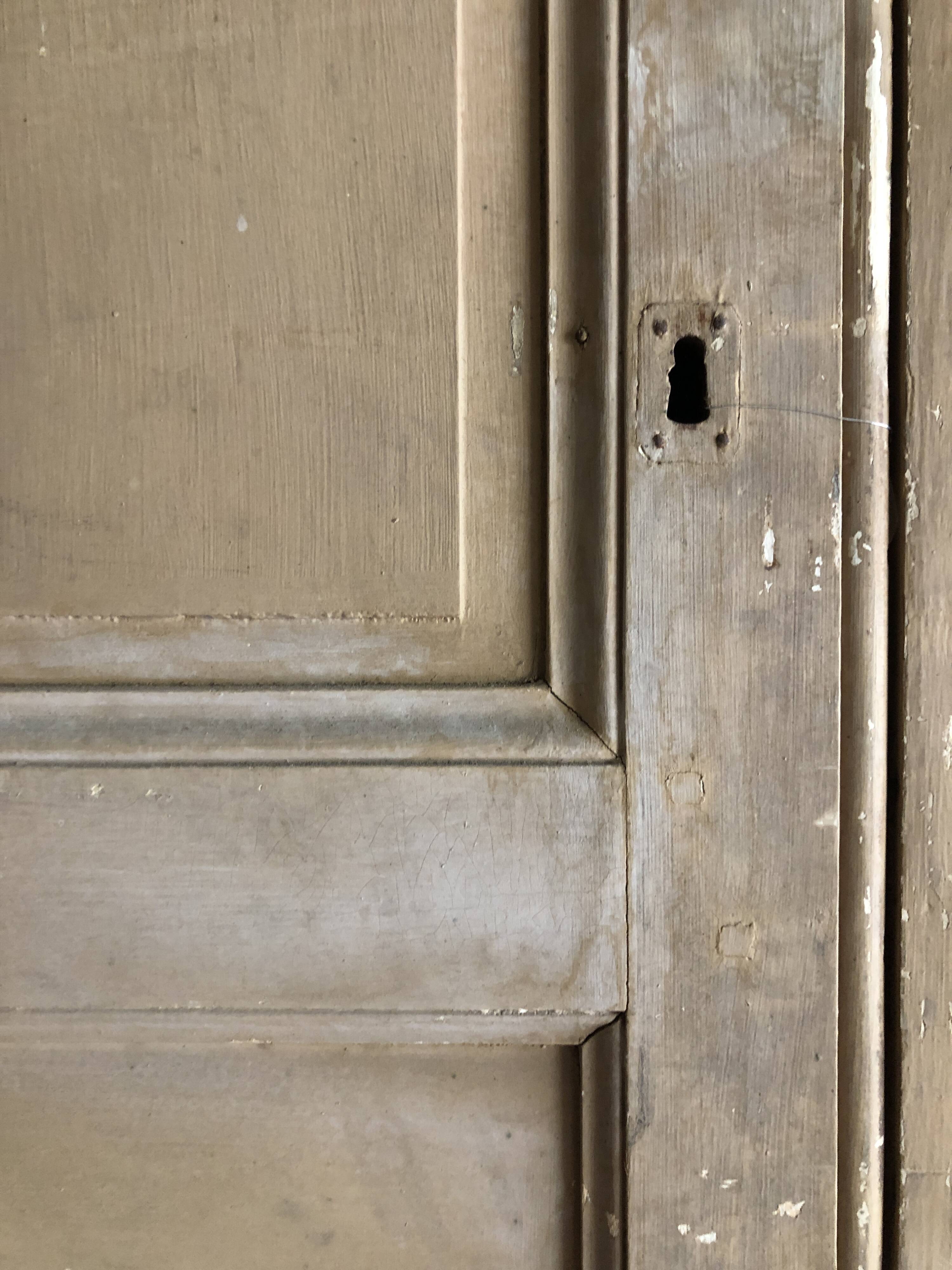 Pair of cupboard doors - 19th century