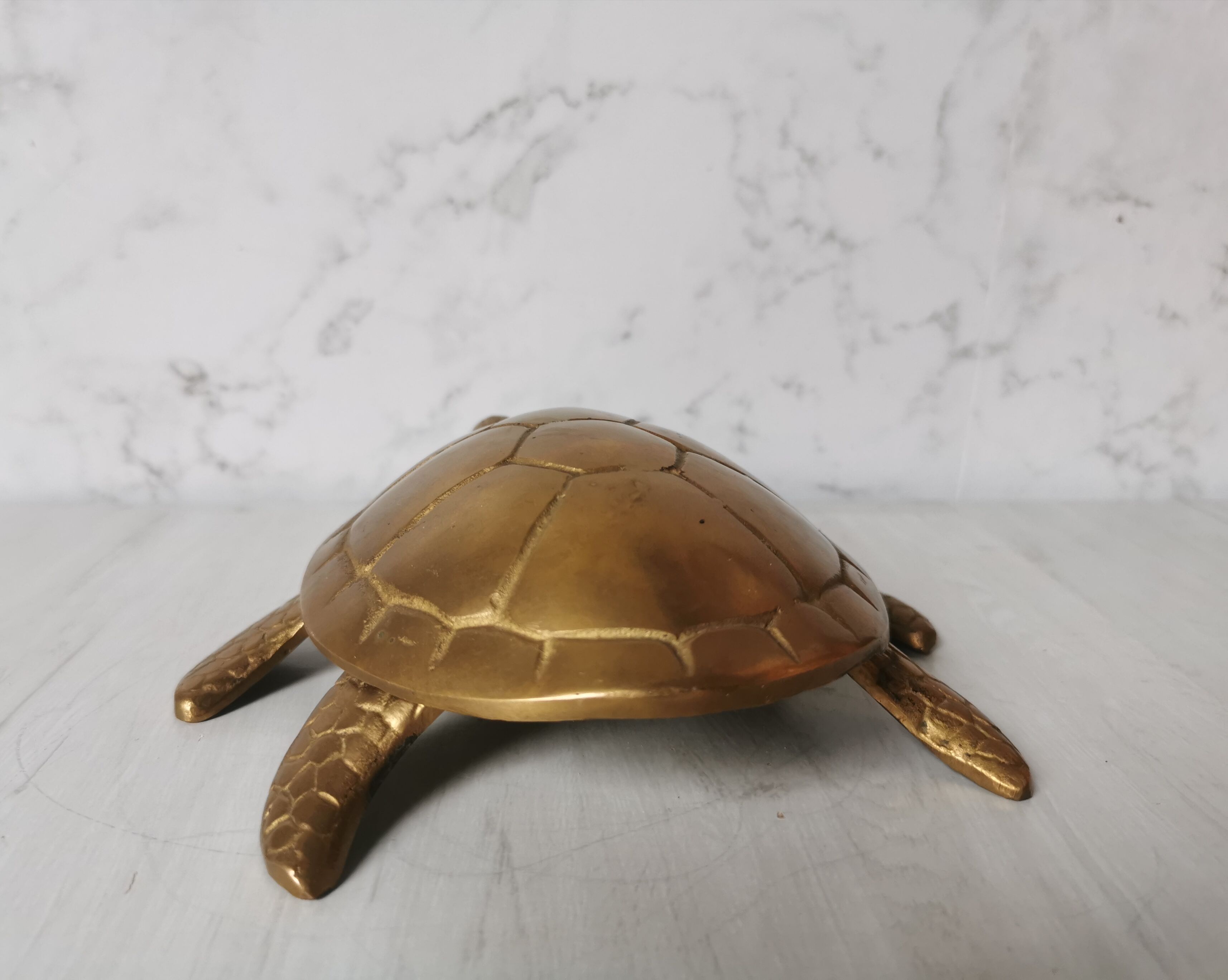 Brass turtle jewelry box