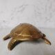 Boîte à bijoux tortue laiton