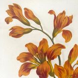 Framed fleur-de-lis botanical plate