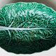 Slurry dish decorated with cabbage leaf