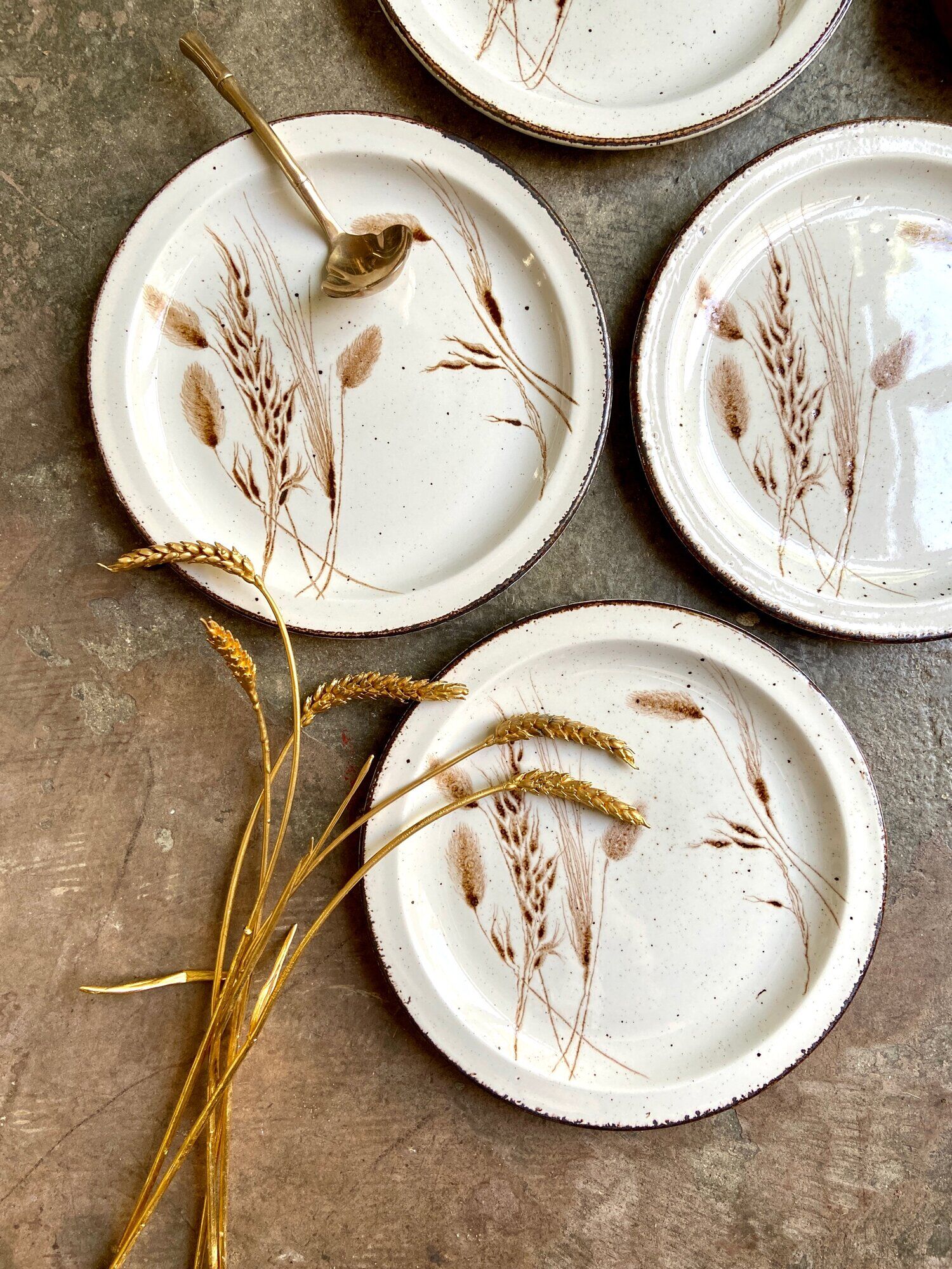 4 flat plates Midwinter in glazed stoneware, service "Wild oats"
