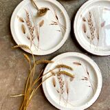 4 flat plates Midwinter in glazed stoneware, service "Wild oats"