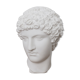 Tête grecque en plâtre blanc mat
