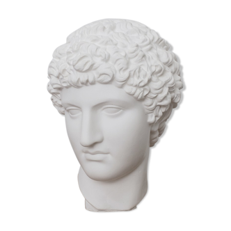 Greek head in matt white plaster