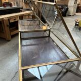 Showcase counter early twentieth century