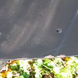 Wendy Wright chairs. Philippe STARCK