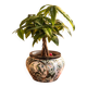 Vintage Japanese cache-pot in porcelain – bird and flower decoration – handmade