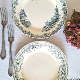 Mismatched antique ironstone earthenware plates