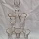 6 liqueur glasses