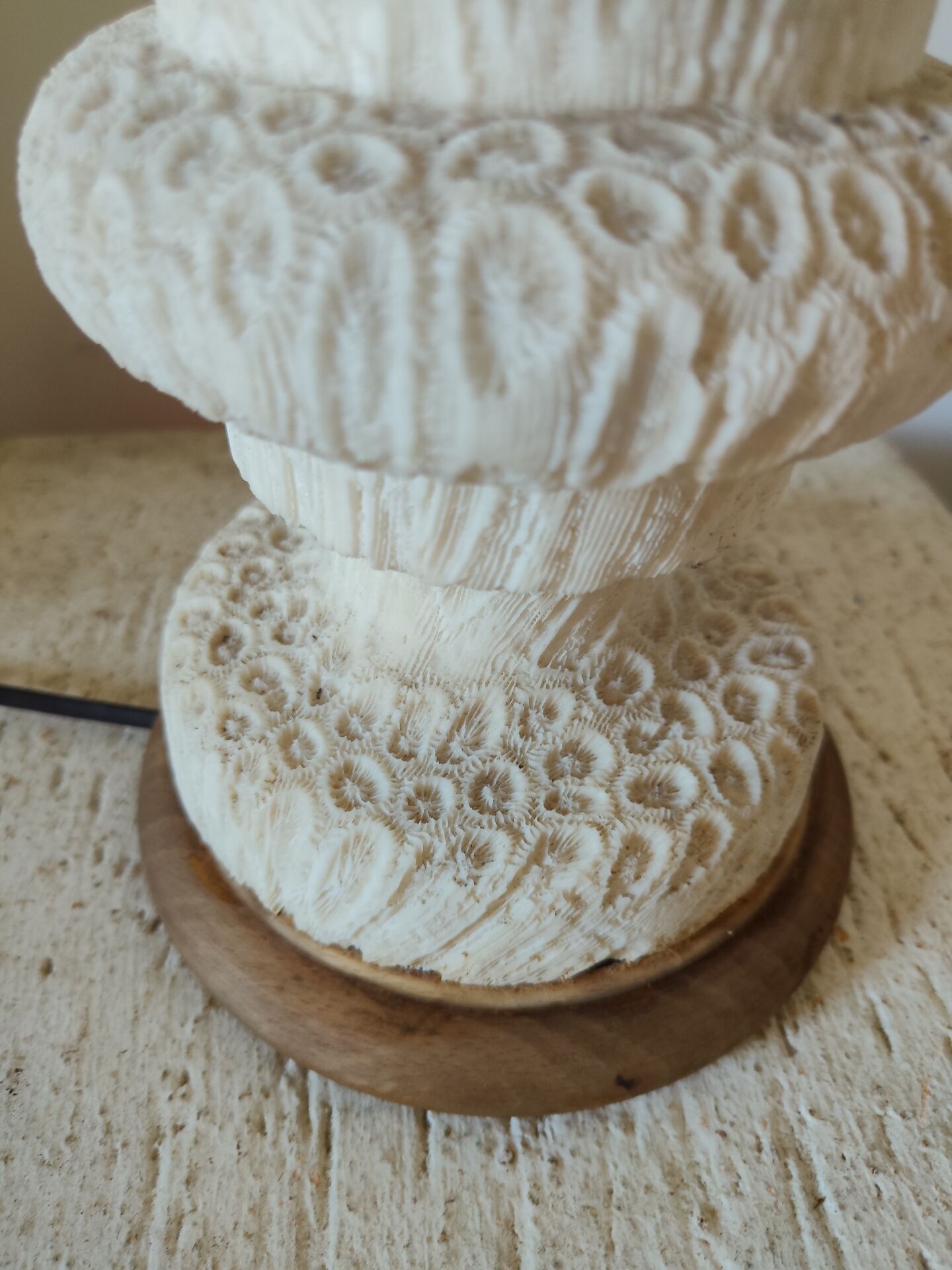 Coral lamp turned from the 1960s