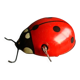 Mechanical ladybird toy
